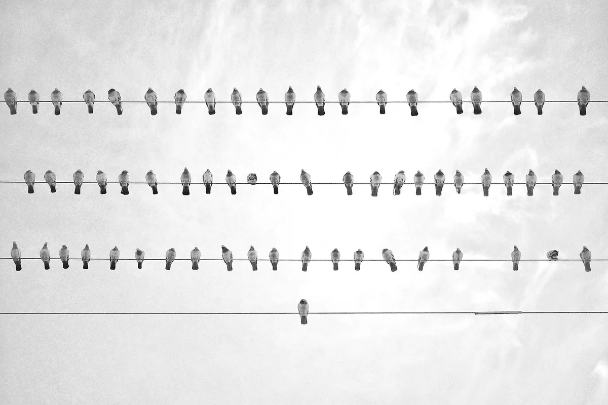 Eine praktische Lernstrategie für den Alltag entwickeln