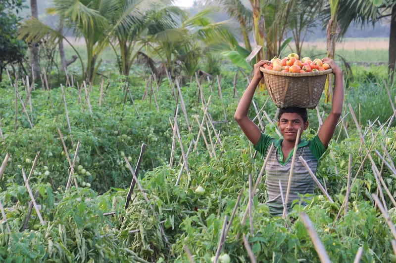 Green Tech Revolution: Technologie als Klimaretter